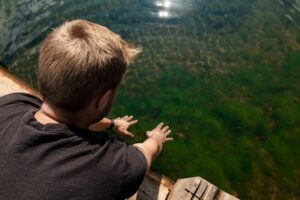 Wie Tief Ist Der Tegernsee? Fakten und Daten zum Tegernsee