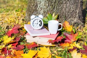 Wie lange dauern die Herbstferien in Bayern? Dauer und Termine der Herbstferien in Bayern