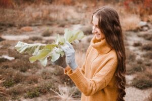 Woraus Wird Naturseide Hergestellt? Wie Naturseide entsteht und aus welchen Rohstoffen sie gewonnen wird